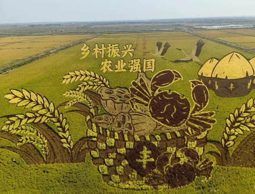 微信圖片_20240806161944.png